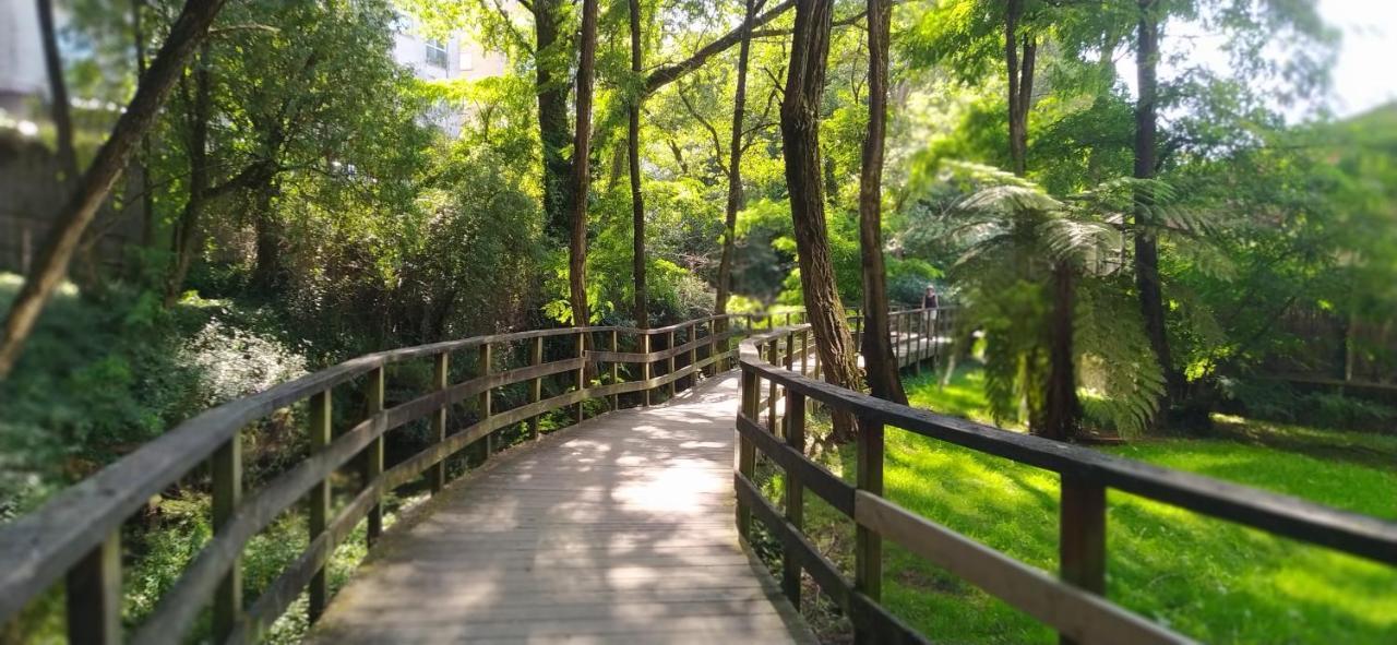 Moderno Y Luminoso 2 Dormitorios Con Todas Las Comodidades En Pontevedra Ciudad Dış mekan fotoğraf